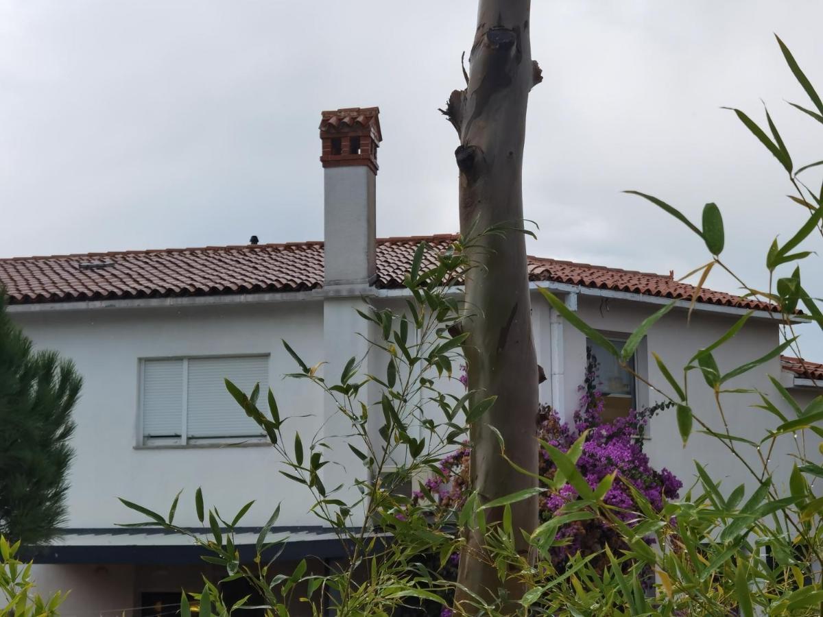 Pine And Lime Apartments Pola Esterno foto